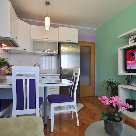 Vukovarska Iii Apartment *